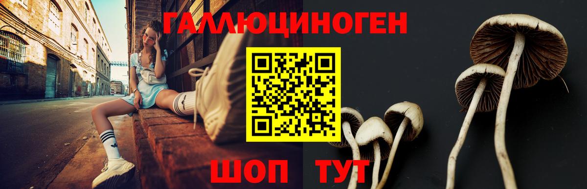 Псилоцибиновые грибы мухоморы Урай